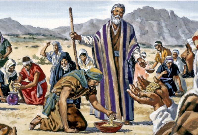 Тайна Манны небесной